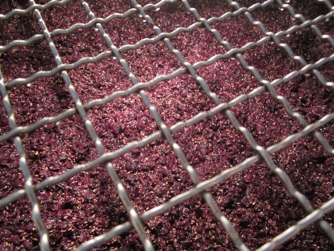 Weintrauben bei der Weinherstellung
