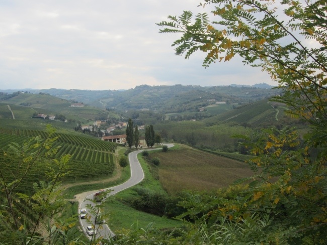 Weinlandschaft